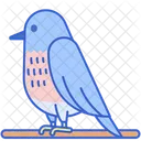 Bluebird Bird Animal Icon