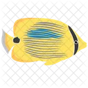 Bluespot Butterfy Fish Icon