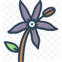 Bluestar Flower Amsonia Apocynaceae Icon