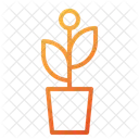 Blühende Pflanze  Symbol