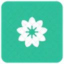 Blume  Symbol