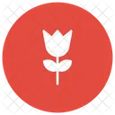 Blume  Symbol