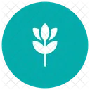 Blume  Symbol