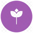 Blume  Symbol