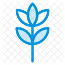 Blume  Symbol