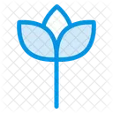 Blume  Symbol