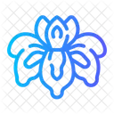 Blume  Symbol