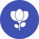 Blume Makro Modus Symbol