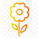 Blume  Symbol