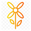 Blume  Symbol