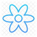 Blume  Symbol