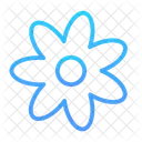 Blume  Symbol