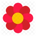 Blume Symbol