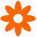 Blume Pflanze Orange Symbol