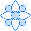 Blume  Icon