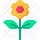 Blume  Symbol