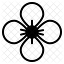 Texas Symbol