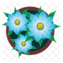 Blume  Symbol