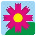 Blume  Symbol