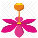 Blume  Symbol