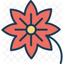 Blute Bluhen Dekorativ Symbol