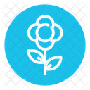 Blume Blute Bienenhaus Icon