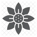 Blume  Symbol