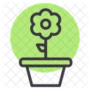 Blume  Symbol