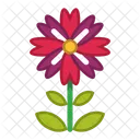 Blume Symbol