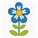 Blume Symbol