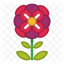 Blume Symbol