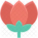 Blume Lotus Lilie Symbol