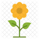 Blume  Symbol