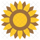 Blume Sonnenblume Helianthus Icon