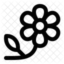 Blume  Symbol