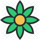 Blume Hoya Bella Symbol