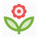 Blume  Symbol