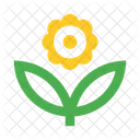 Blume  Symbol