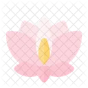 Blume  Symbol