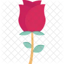 Blumen Blume Naturschonheit Symbol