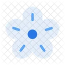 Blume  Symbol