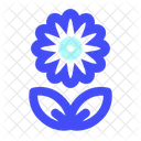 Blume  Symbol