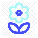 Blume  Symbol