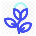 Blume  Symbol