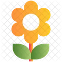 Pflanze Blume Natur Icon