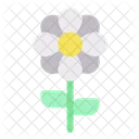 Blume  Symbol