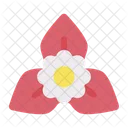 Blume  Symbol