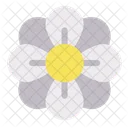 Blume  Symbol