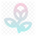 Blume  Symbol