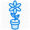 Blume  Symbol